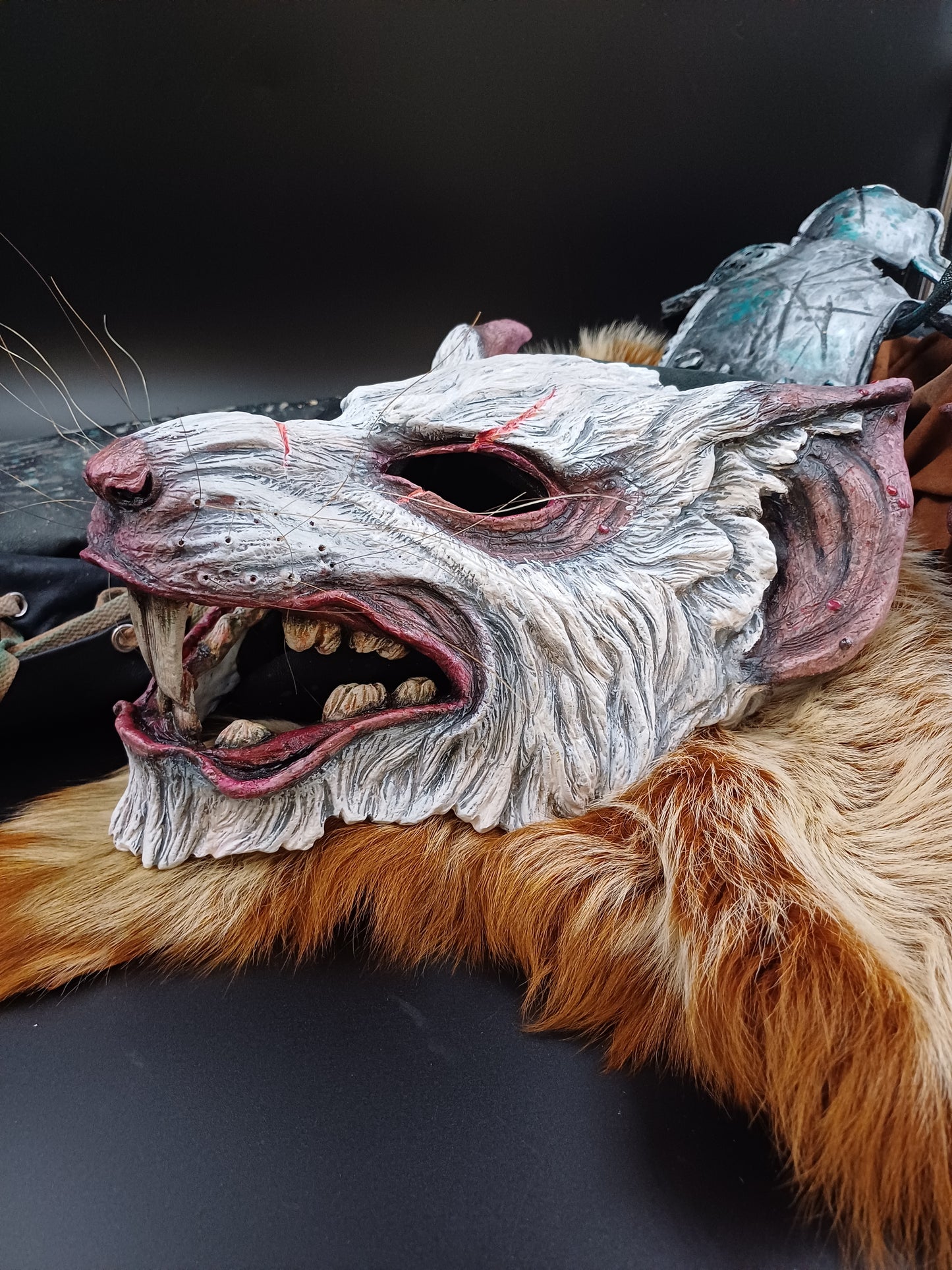 Skaven rat mask blank, size comparison with common object.