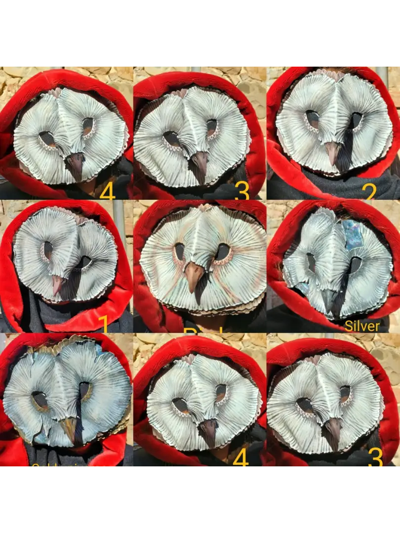 Basic Barn Owl mask - Ready to ship