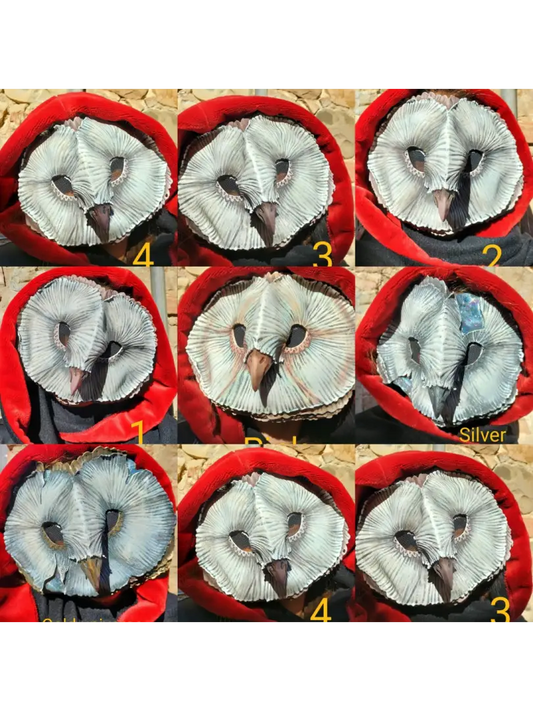 Basic Barn Owl mask - Ready to ship