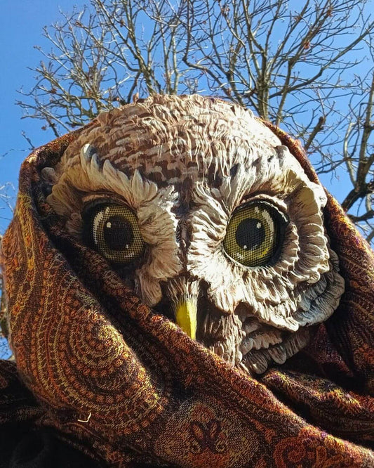 Handcrafted Owl Mask Worn for Cosplay – A lightweight barn owl mask with adjustable straps, perfect for theater, masquerade balls, and fantasy roleplay.