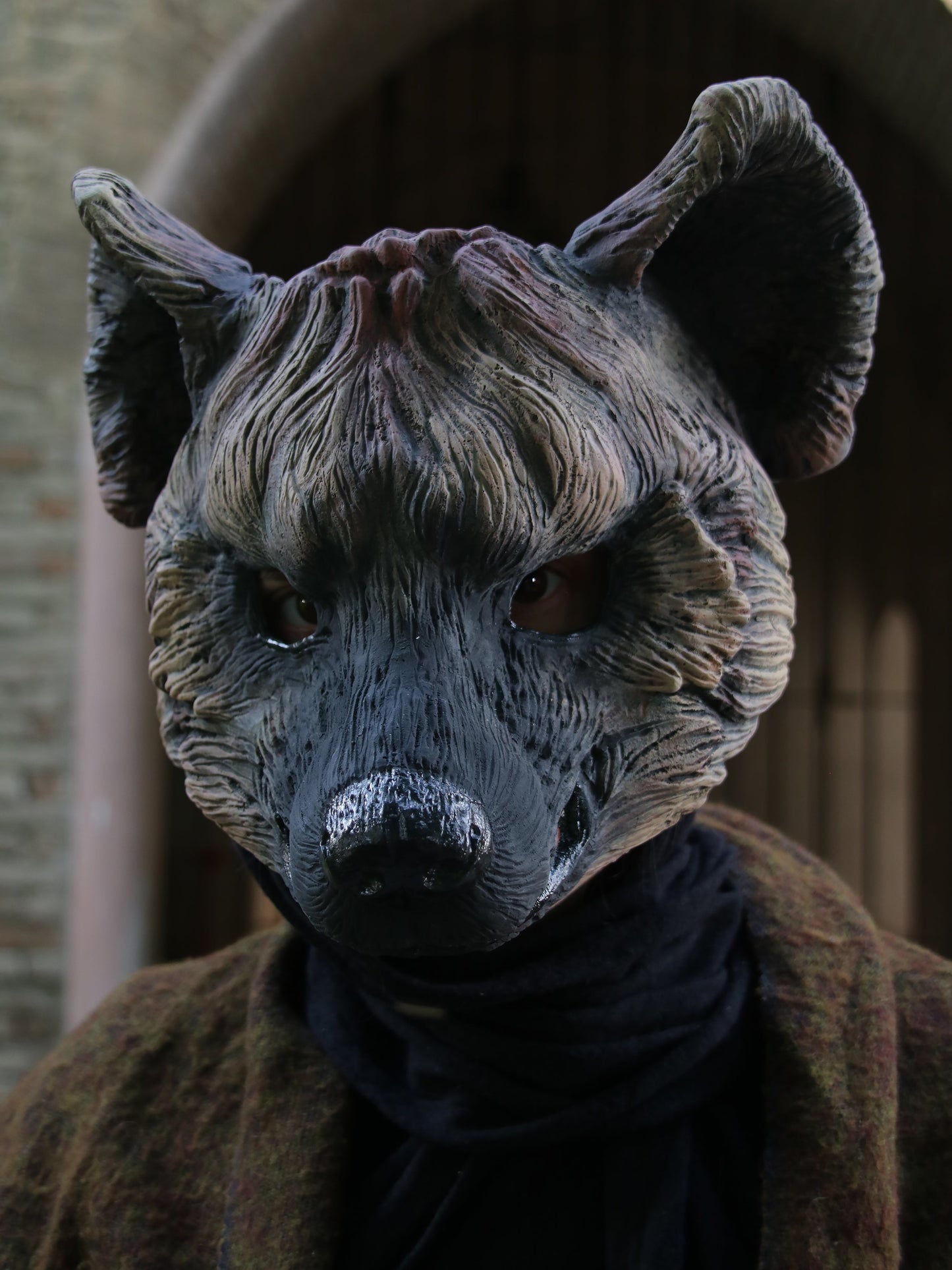 Example of Hyena Blank Resin mask front view. Craft ideas and cosplay costumes