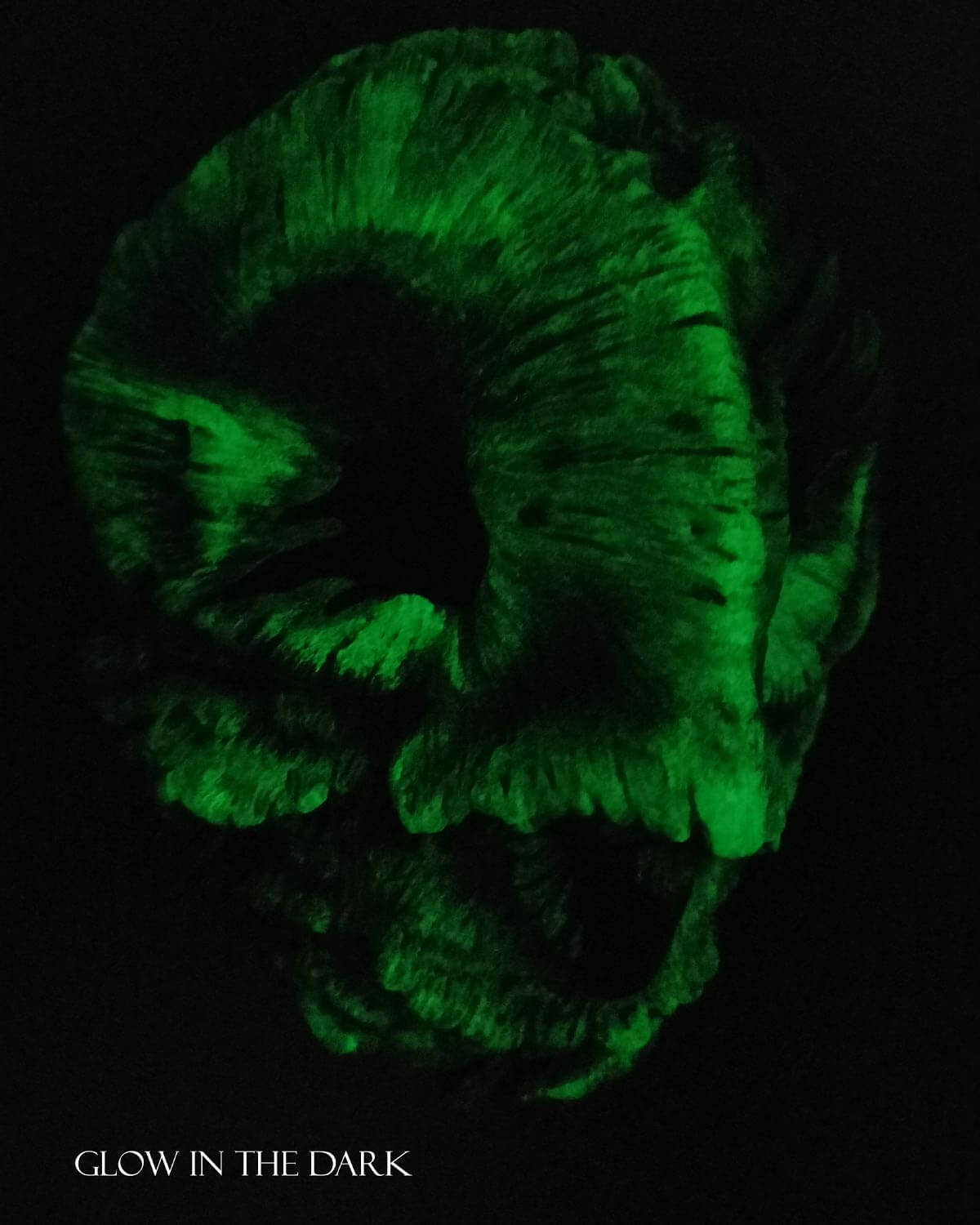 UV reactive Barn Owl Mask for LARP, cosplay, and Halloween, comfortable foam padding, customizable fit, glows in the dark, handcrafted resin.