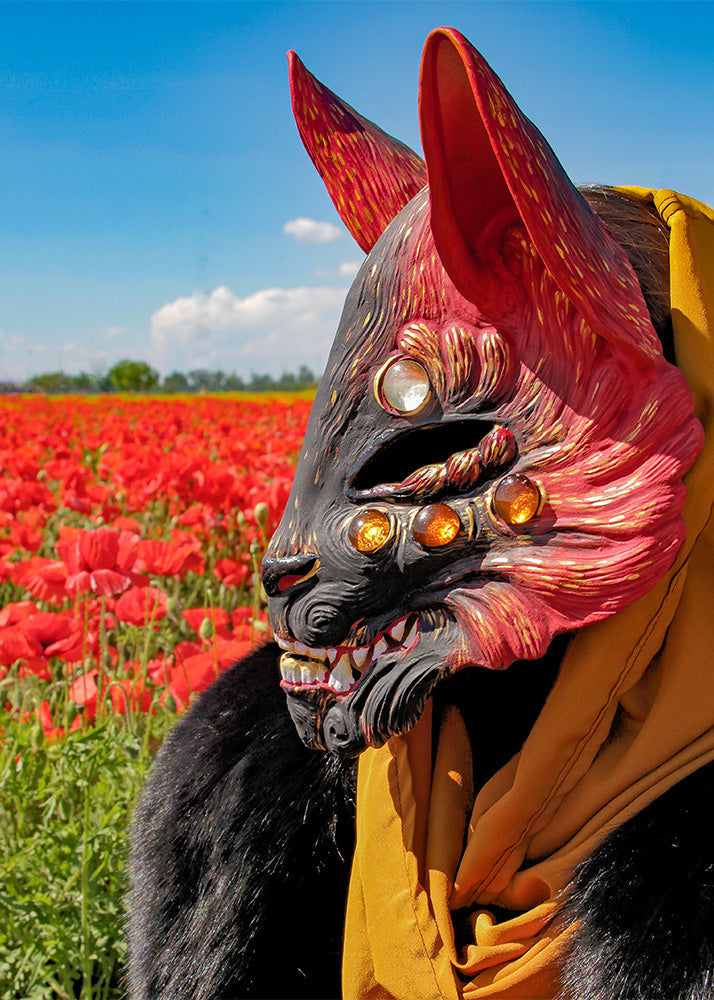 Second result of DIY project instructions starting from a Kitsune Blank Mask