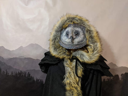 Step-by-step tutorial for creating a homemade owl mask.
