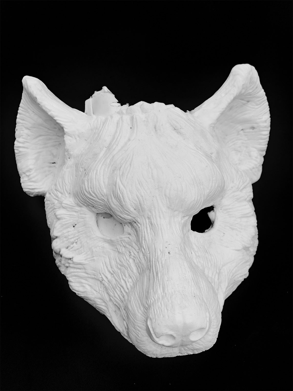 Hyena Blank Resin mask front view on black background for craft ideas and cosplay costumes
