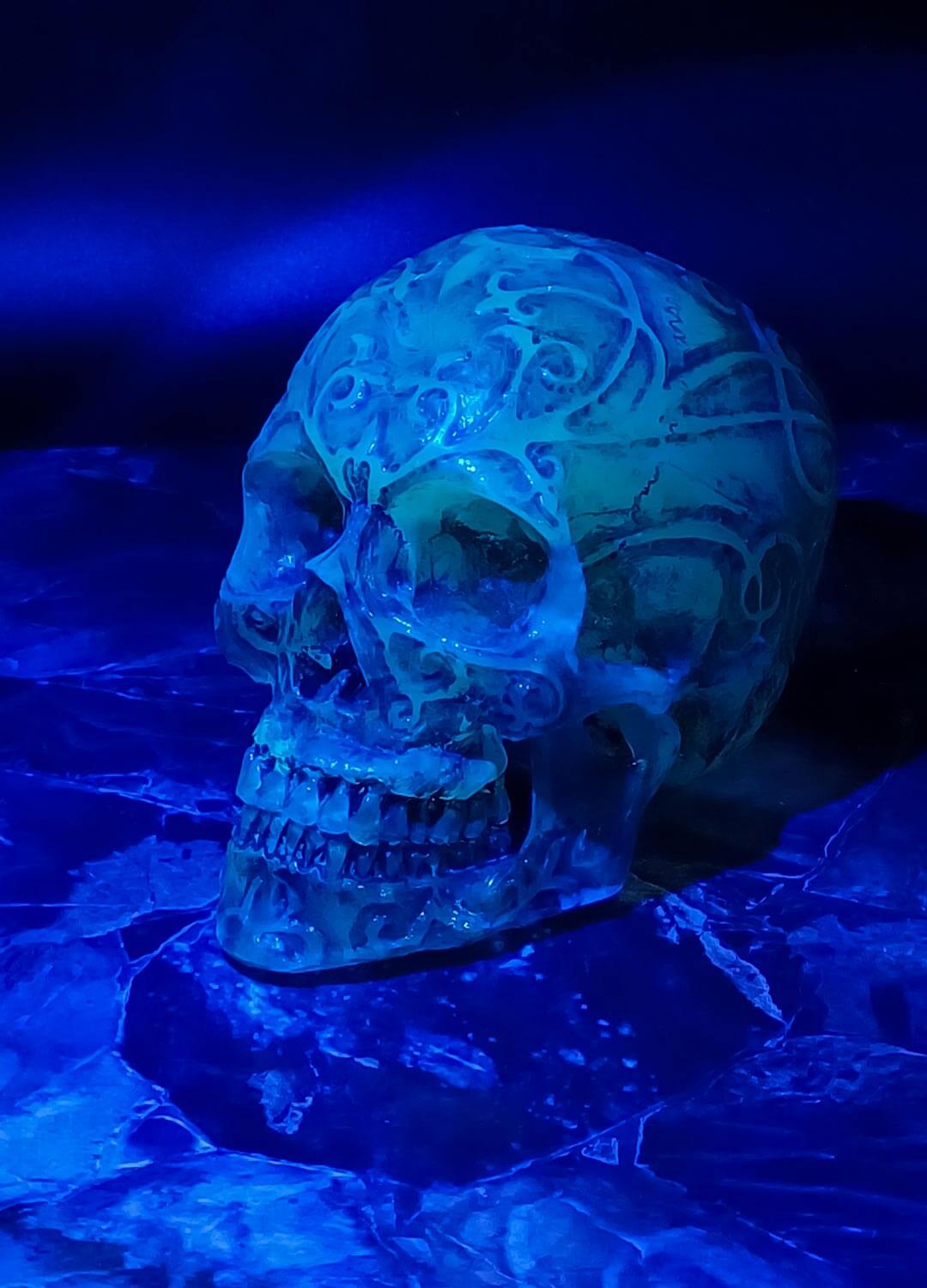 Person holding resin skull, size and weight demonstration, durable resin material.