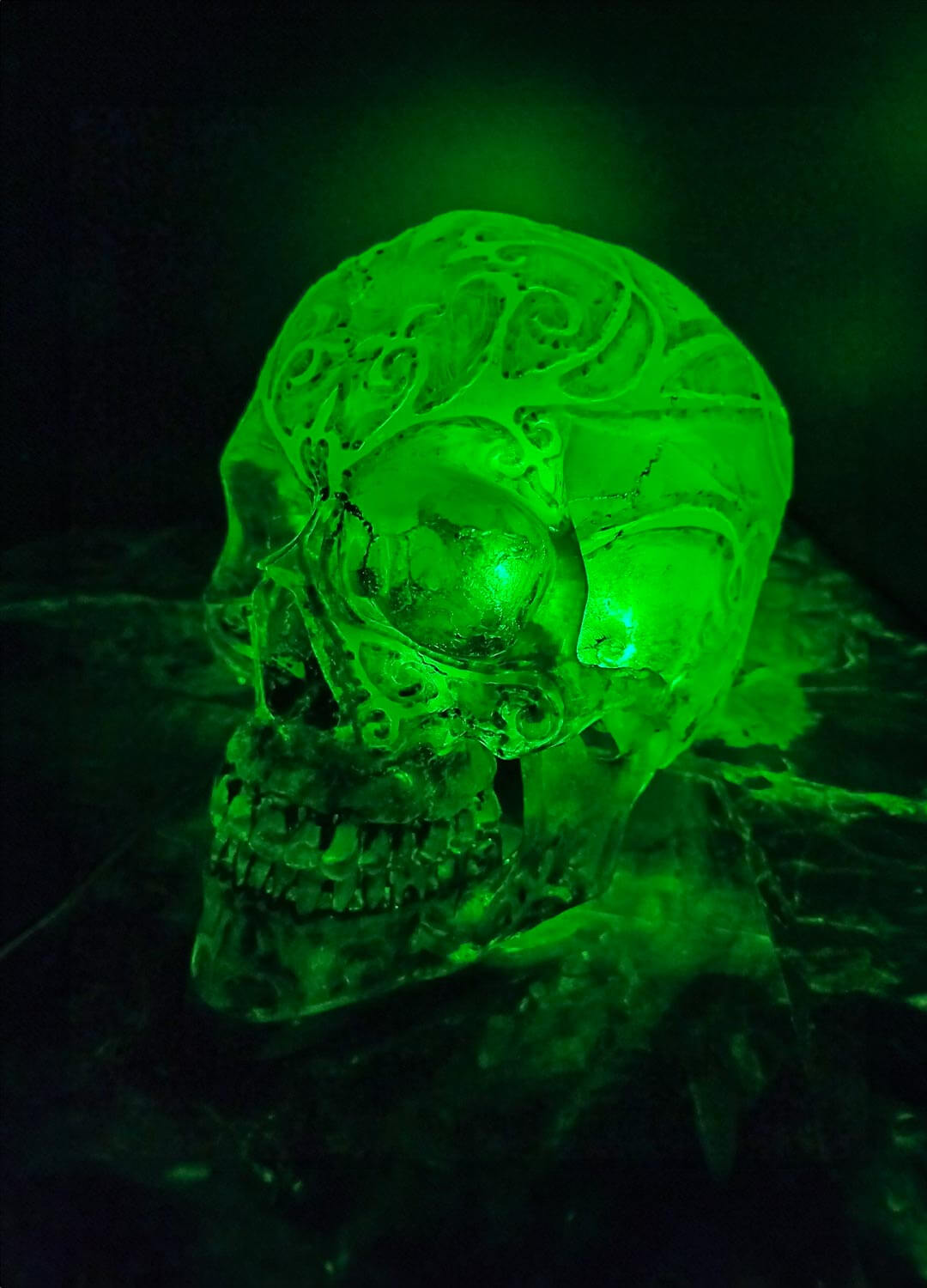  Glow-in-the-dark resin skull, front view, illuminated by UV light, fluorescent green.