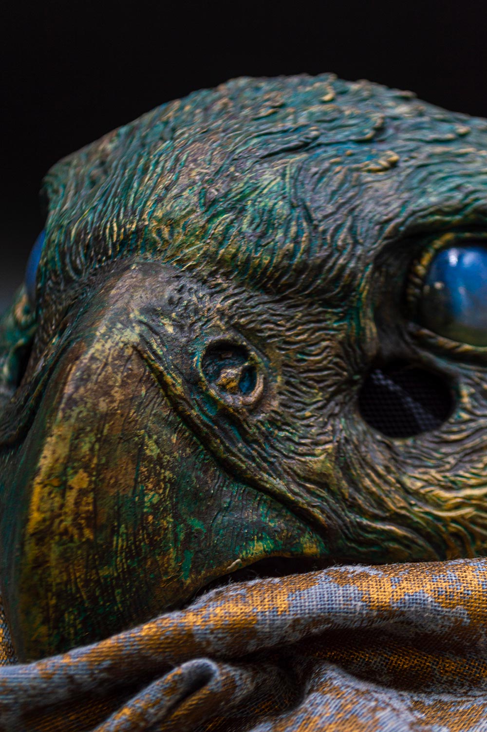 Close-up of a Oxidized Hawk featuring its vibrant green and blue eye, with intricate feather details, perfect for nature enthusiasts and wildlife lovers