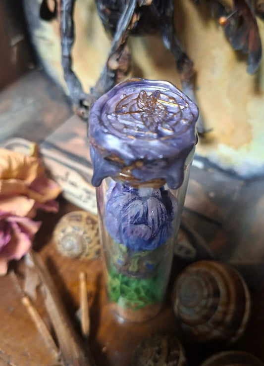 Mini mandrake resin vial dark fantasy botanical art piece, preserved magical root creature inside glass container, tabletop RPG and wizard lab decor