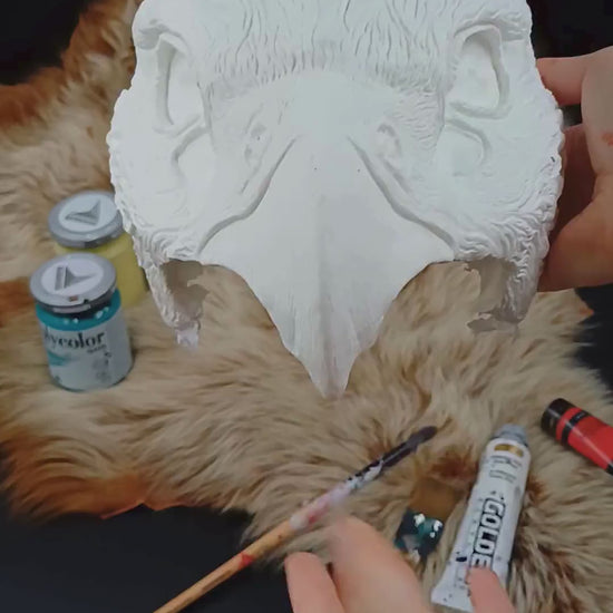 DIY Hawk, Eagle, and Horus mask kit, showing the blank mask and included instruction