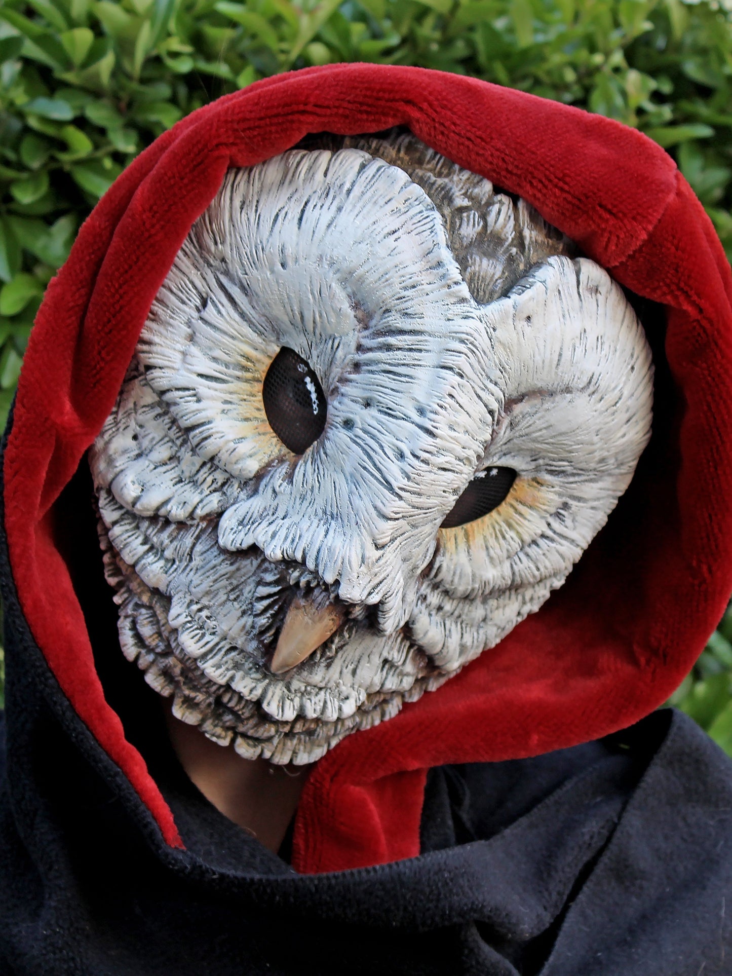 white barn owl mask made in resin for masquerade balls mask with red hood